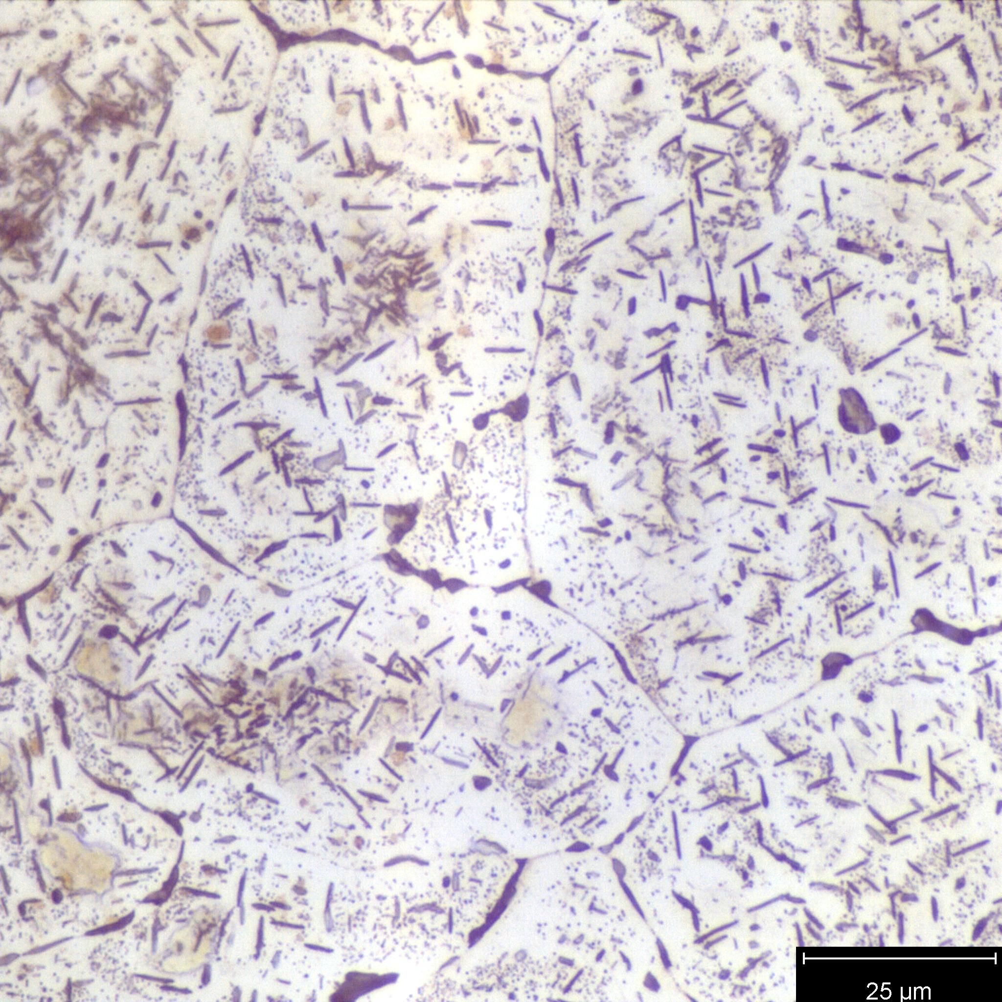HME_1000x_2.jpg