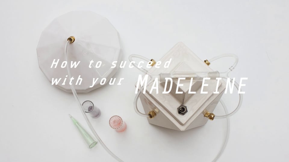 HOW TO SUCCEED WITH YOUR MADELEINE