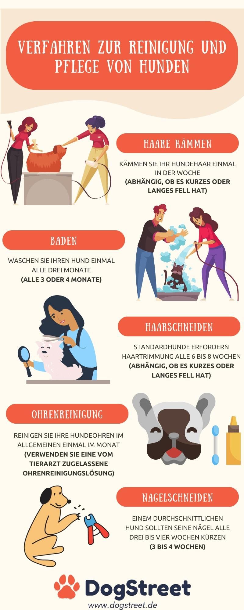 HUNDEREINIGUNG UND PFLEGE  Dog Street.jpg