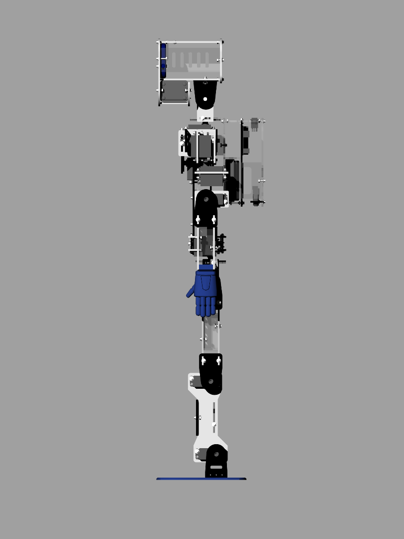 Halley_Left.png