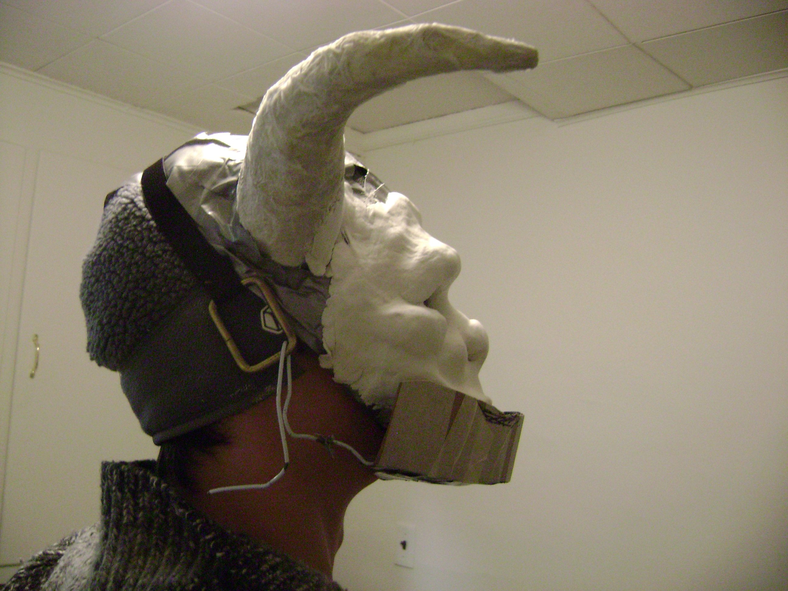 Halloween 2009 264.jpg