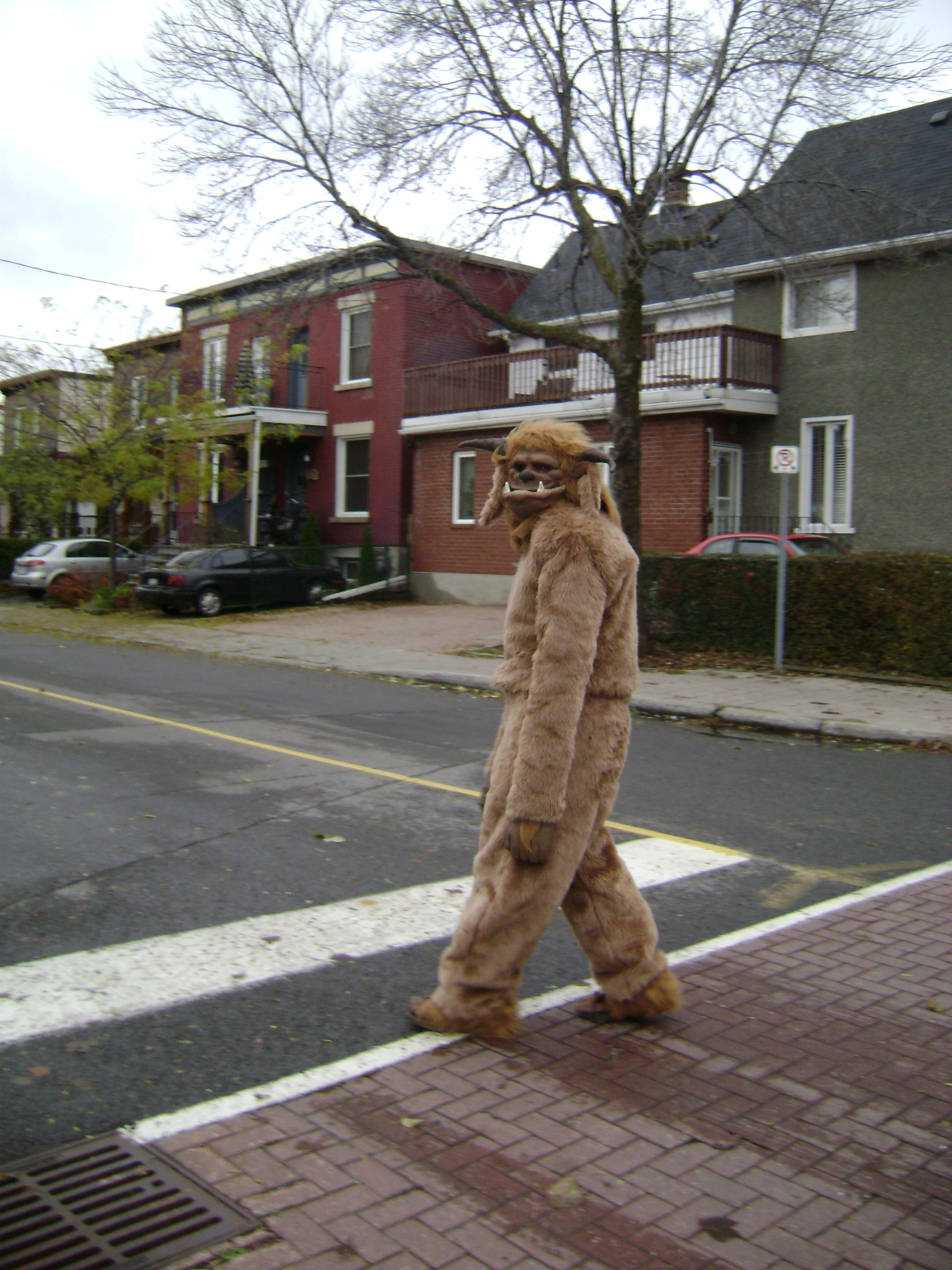 Halloween 2009 370.jpg