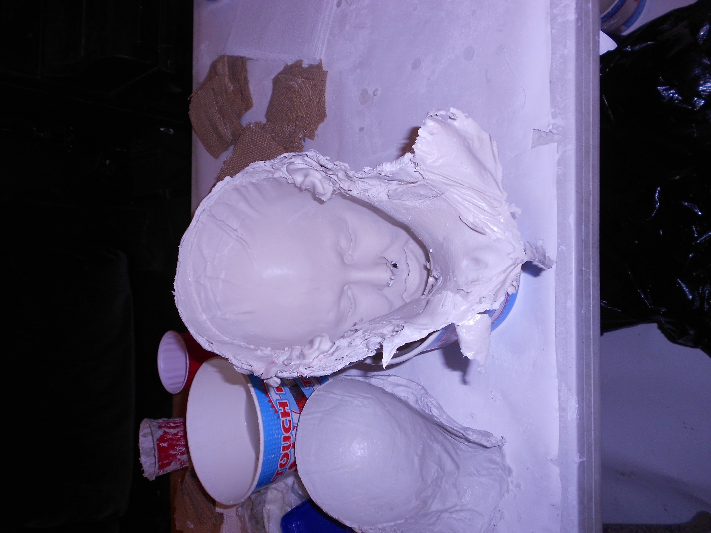 Headcasting Sergei 460.jpg