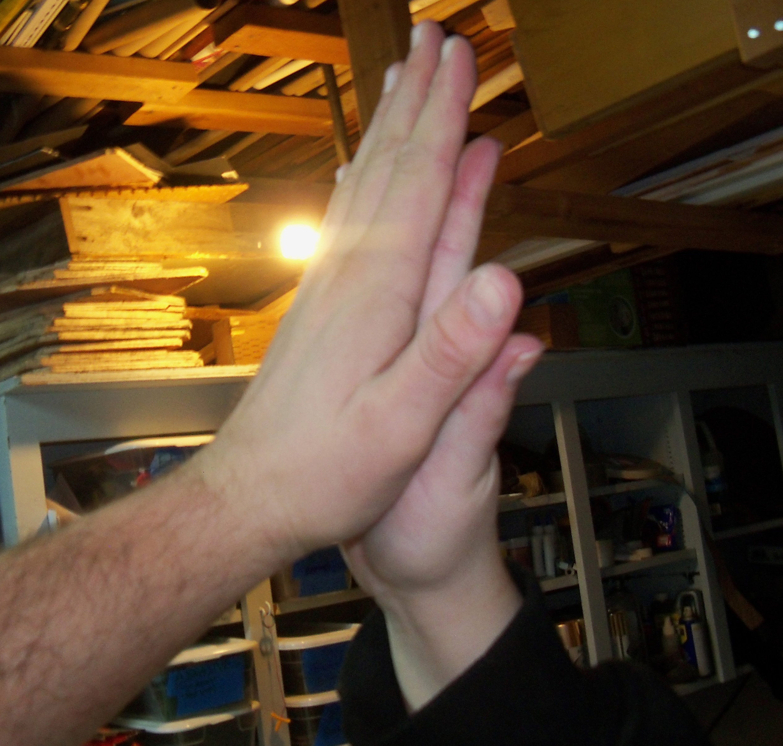 HighFive.jpg