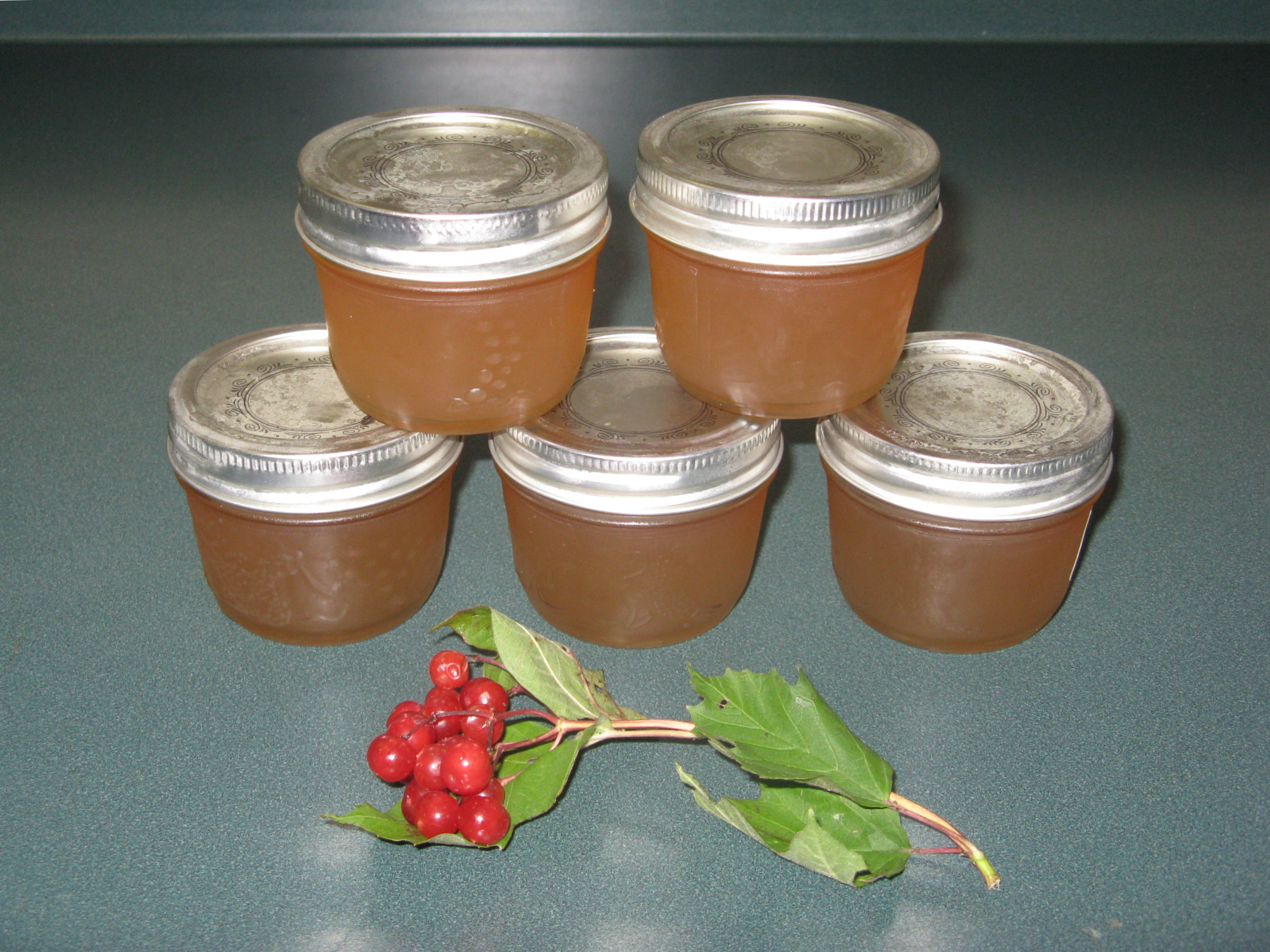 Highbush Cranberry Jelly 0.JPG