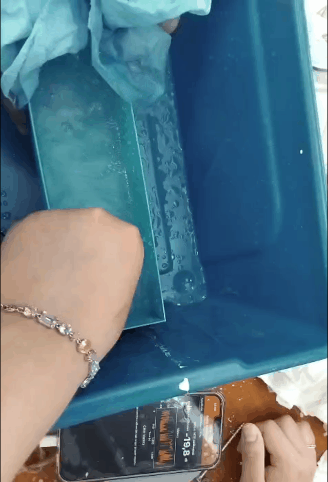 HnVideoEditor_2026_06_20_135738735.gif