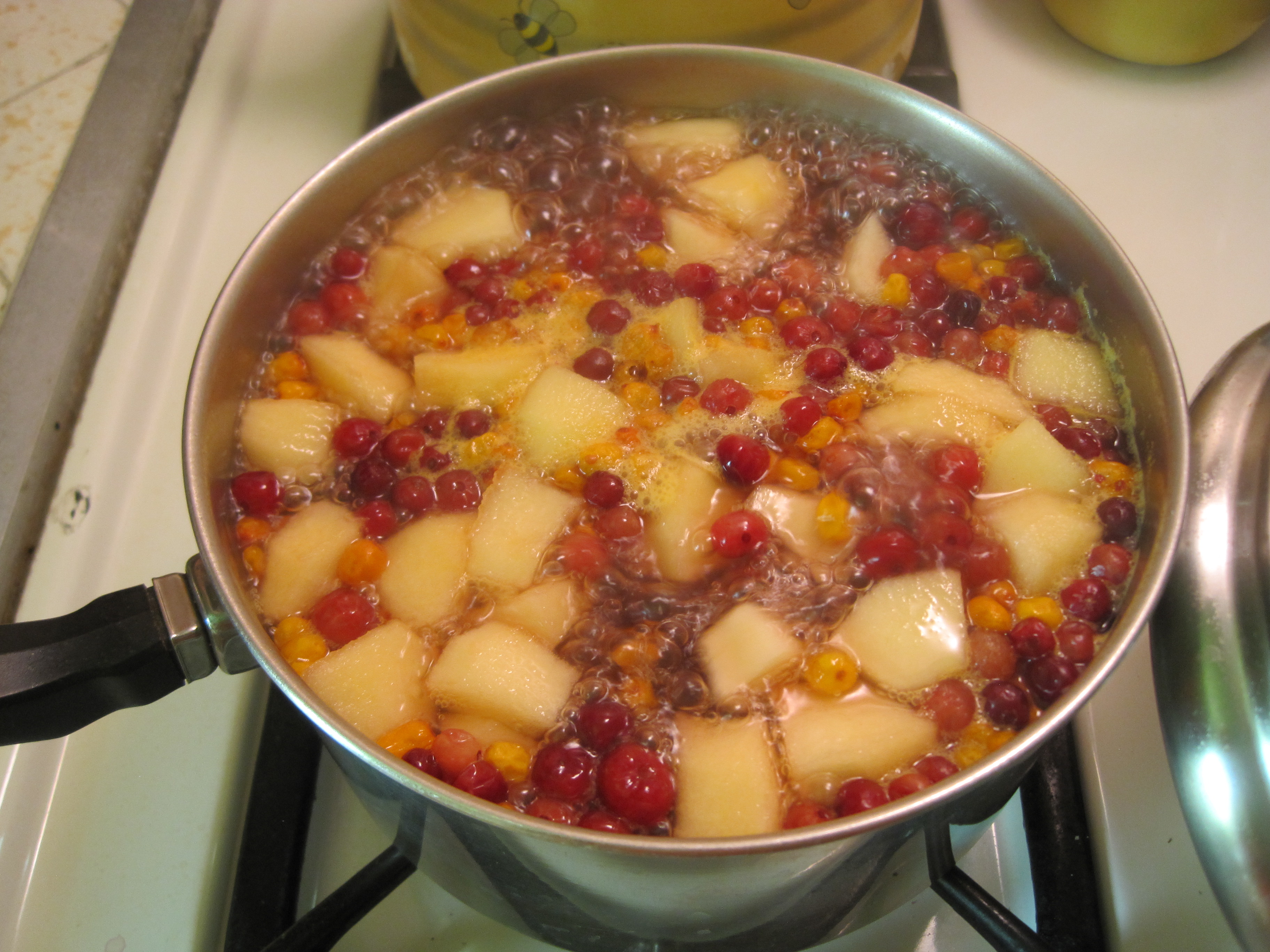 Homemade Compot from Frozen Berries.JPG