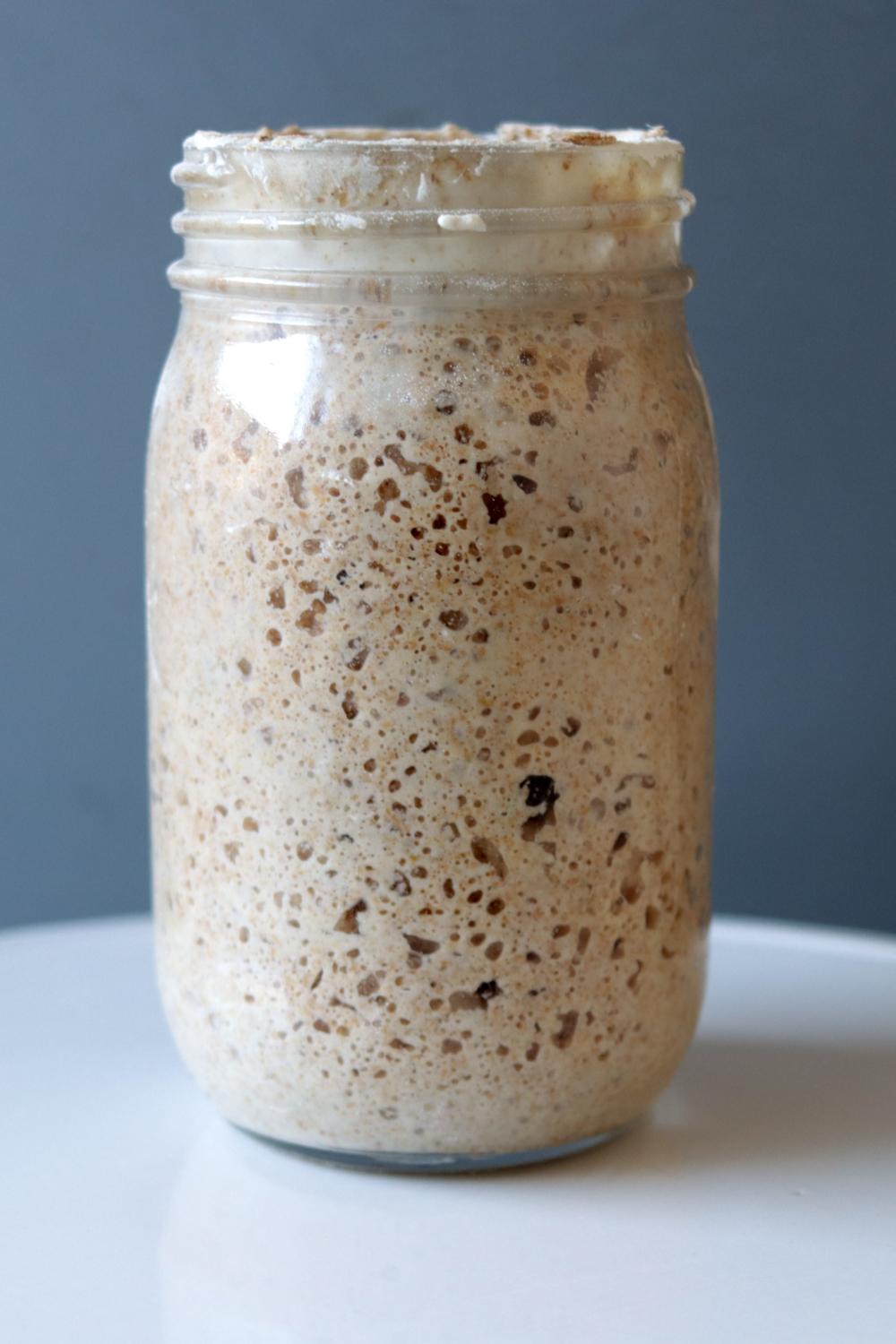 Homemade Sourdough Starter Hi Res Long.jpg