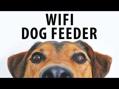 Homemade WiFi Dog Feeder using ESP32 Cam