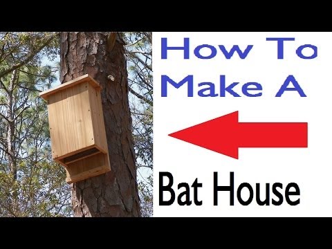 How To Build A Bat House