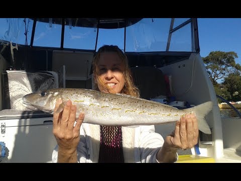 How To Cook King George Whiting and Popcorn Crayfish Fishing Perth WA