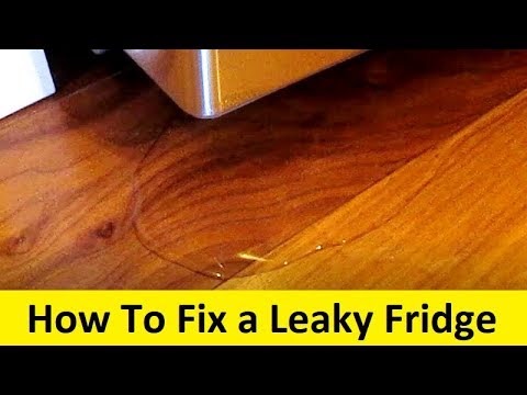 How To Fix a Leaky Refrigerator