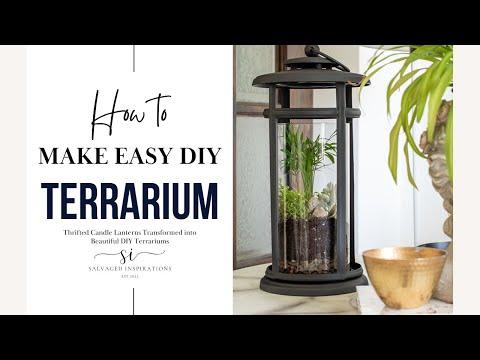 How To Make An EASY DIY Terrarium