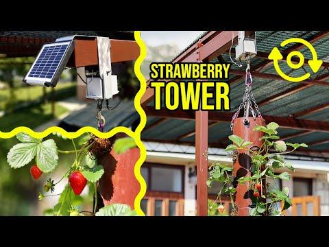 How To Make Rotating Strawberry Tower - Solar Powered DIY