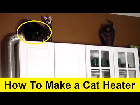 How To Make a Cat Heater