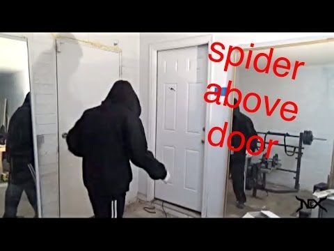 How To Pull Off a Halloween Spider Prank!!! (MUST TRY)