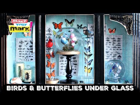 How to: Birds And Butterflies Under Glass