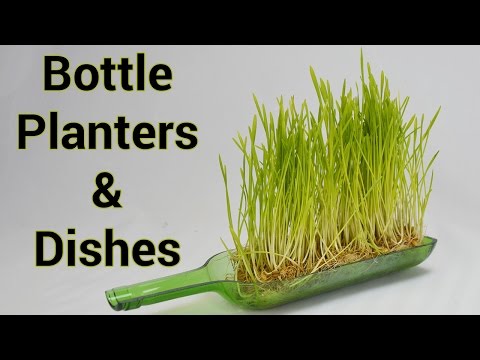 How to Cut Bottles in Half (Lengthwise)