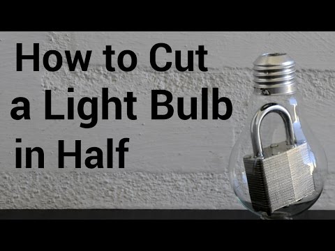 How to Cut a Light Bulb in Half