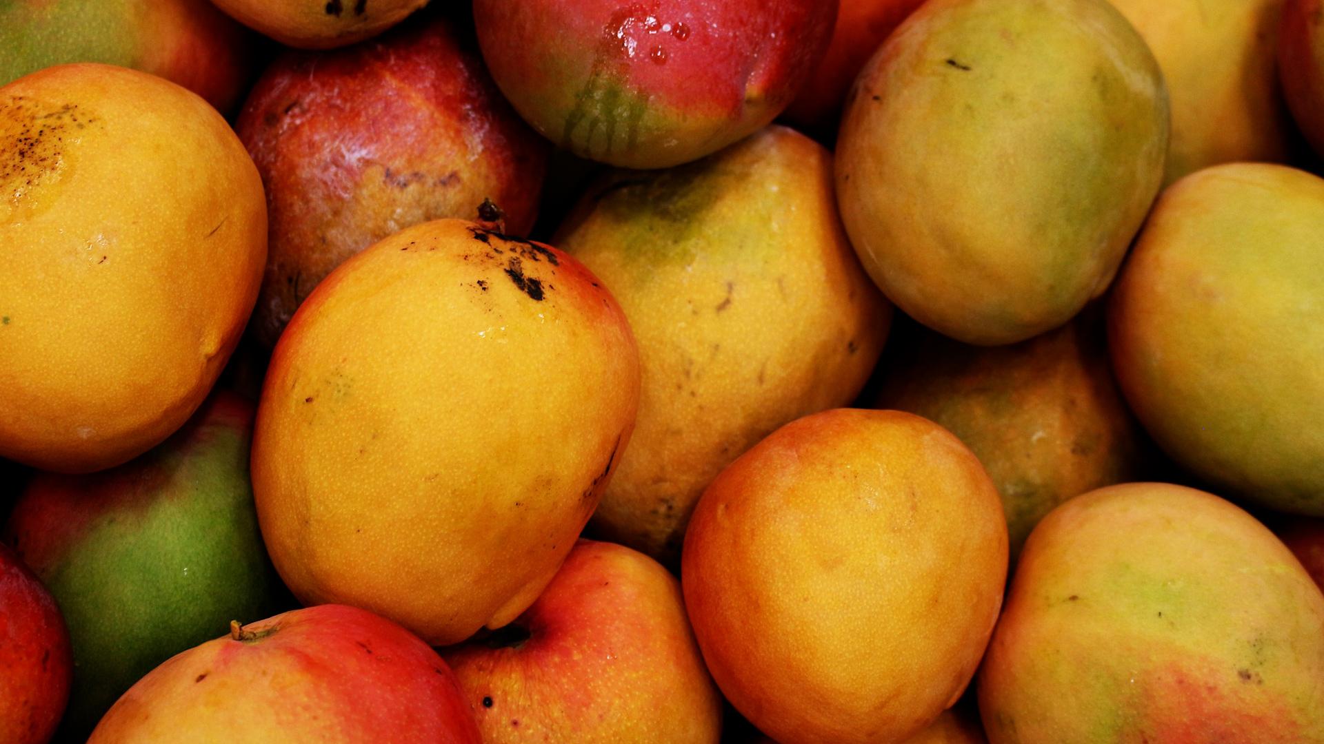 How to Cut and Eat a Mango.00_02_30_01.Still005.jpg