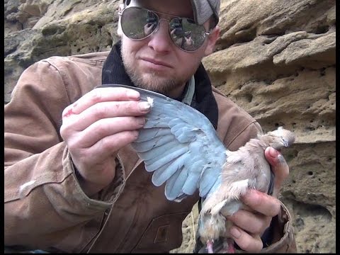 How to Field Dress and Campfire Cook a DOVE