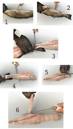 How to Filet a fish.jpg