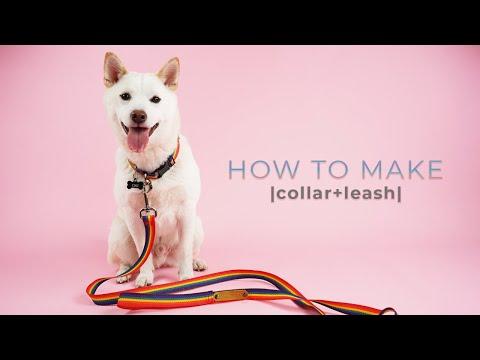 How to Make Collar and Leash