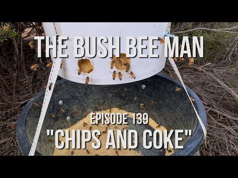 How to Make a Pollen Feeder - Episode 139: &amp;quot;Chips and Coke&amp;quot;