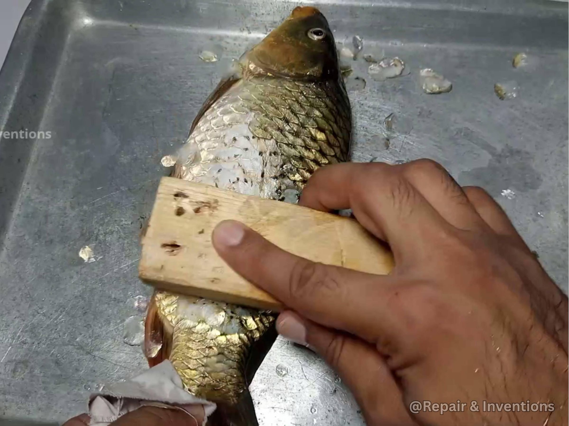 How to Remove Fish Scales Without a Scaler  Easy Fish Cleaning Hack.jpg