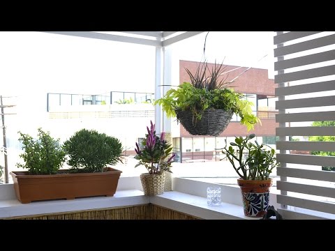 How to decorate a small balcony - LA edition: Season 2 - Ep 7 part 1