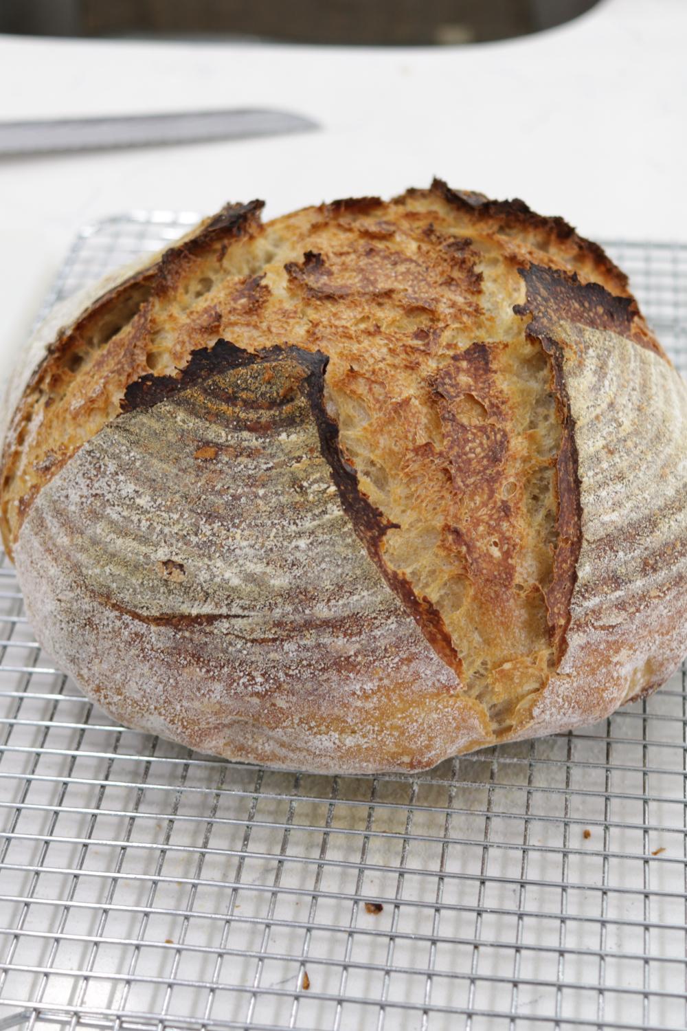 How to make Sourdough Bread Long Hi Res.jpg