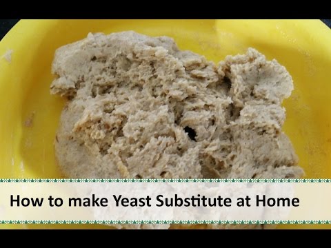 How to make Yeast Substitute at home | Healthy substitute for yeast by Healthy Kadai