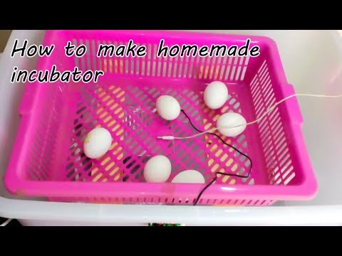 How to make an Egg Incubator | How to make homemade incubator