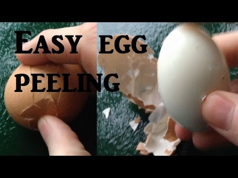 How to peel a hard boiled egg life hack tip trick