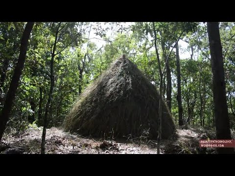 How to survive in the jungle - Grass hut