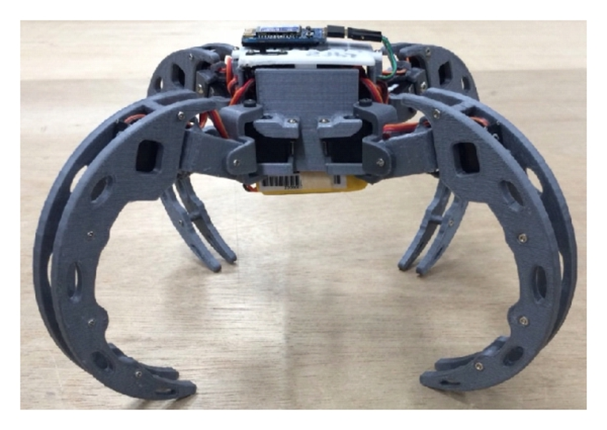 Huntsman-spider-inspired-quadruped-robot-a-walking-form-and-b-rolling-form-This.png
