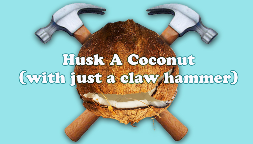 Husk-A-Coconut (with just a claw hammer) (0).jpg