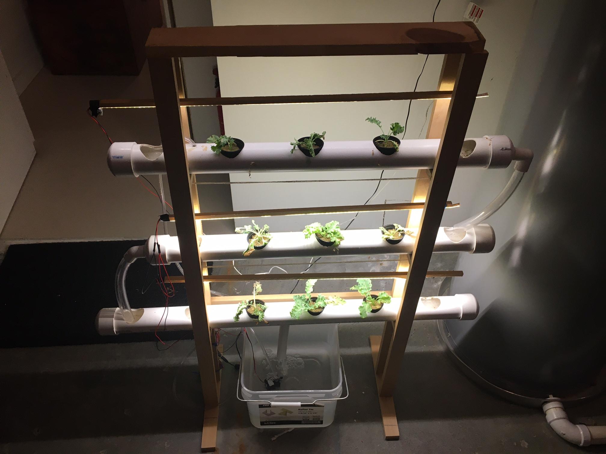 Hydroponics garden.JPG