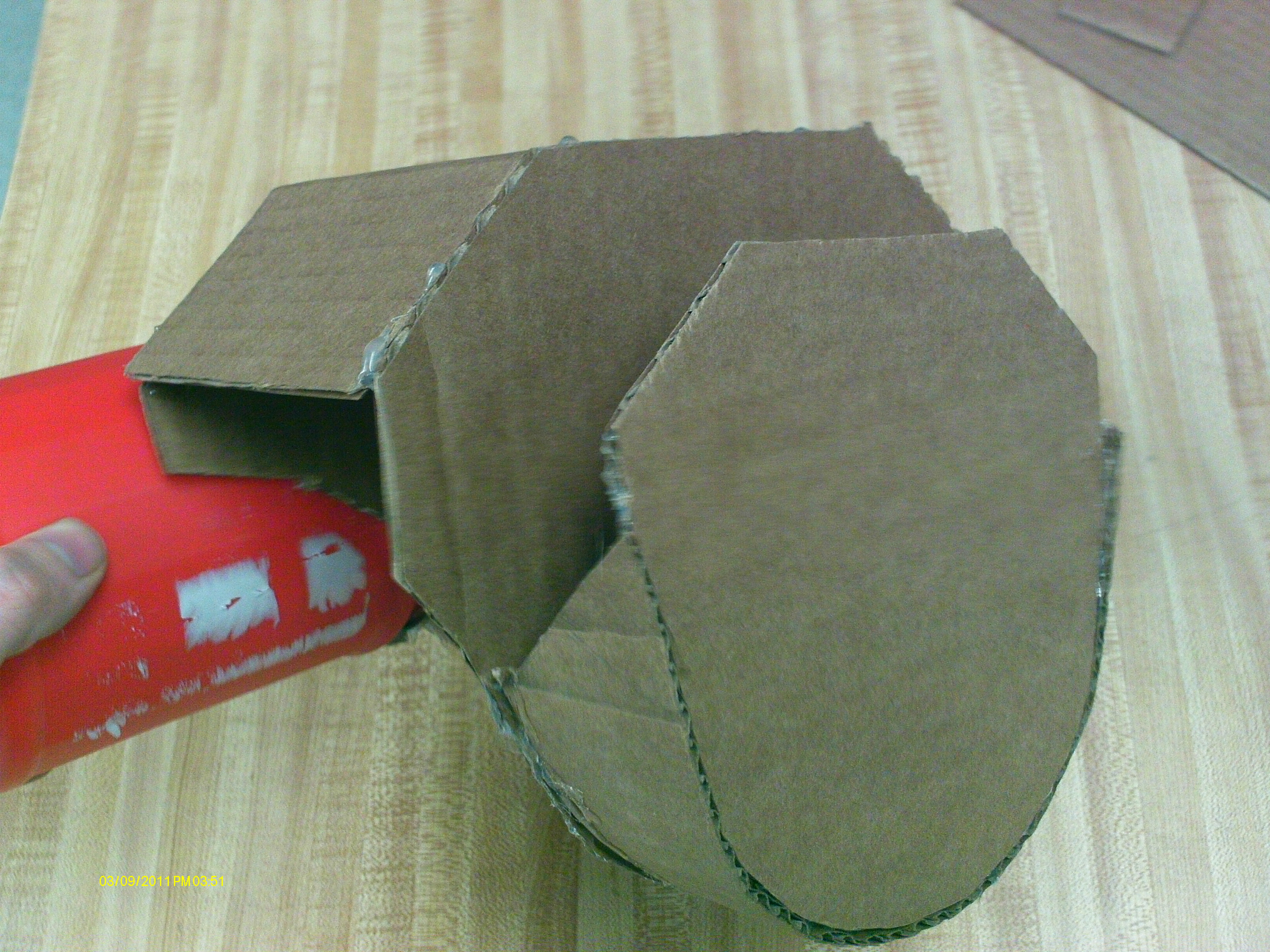 IMAG0101.JPG