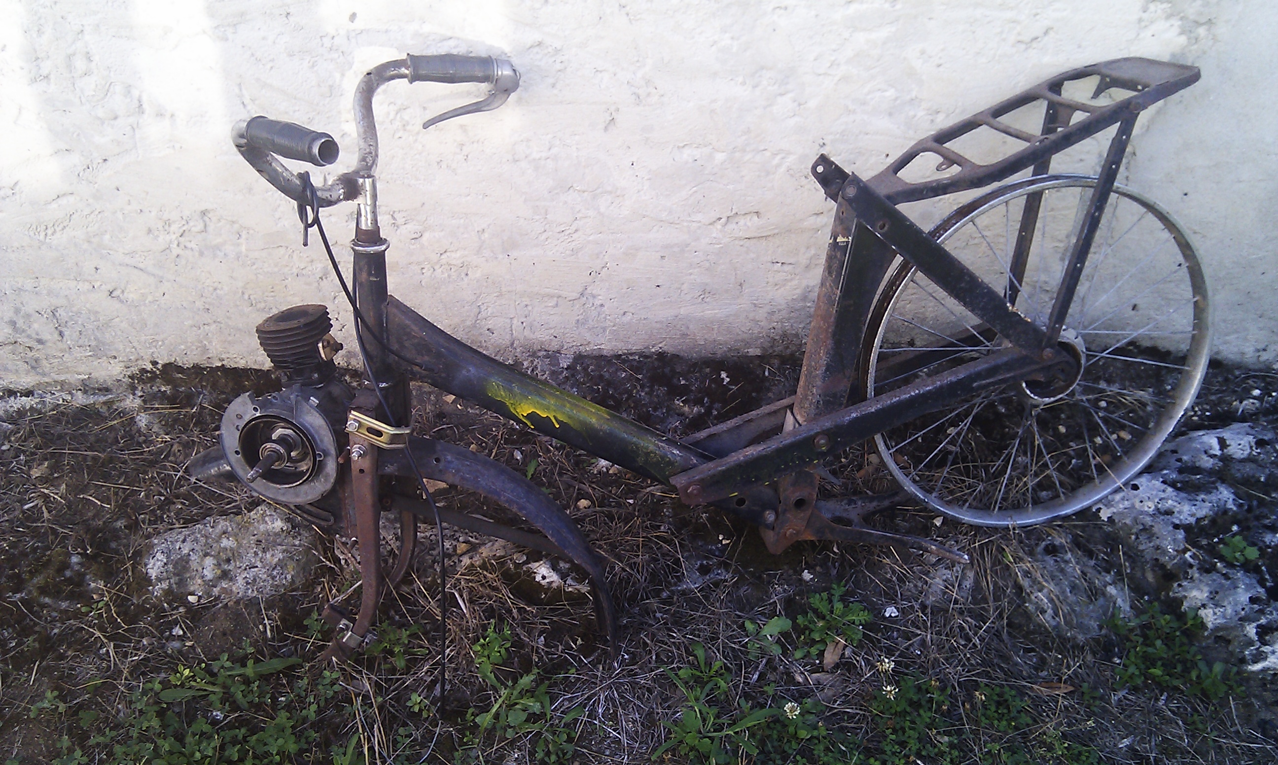 IMAG0134.jpg