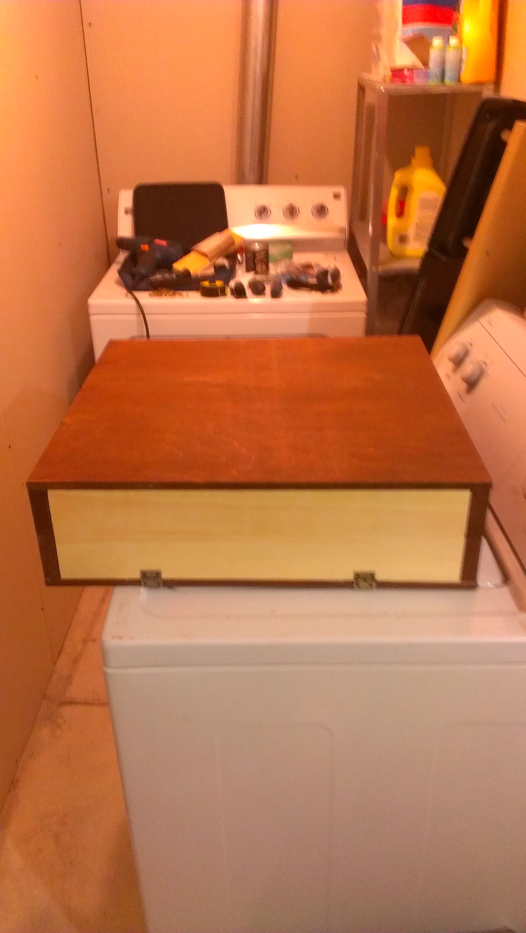 IMAG0282.jpg