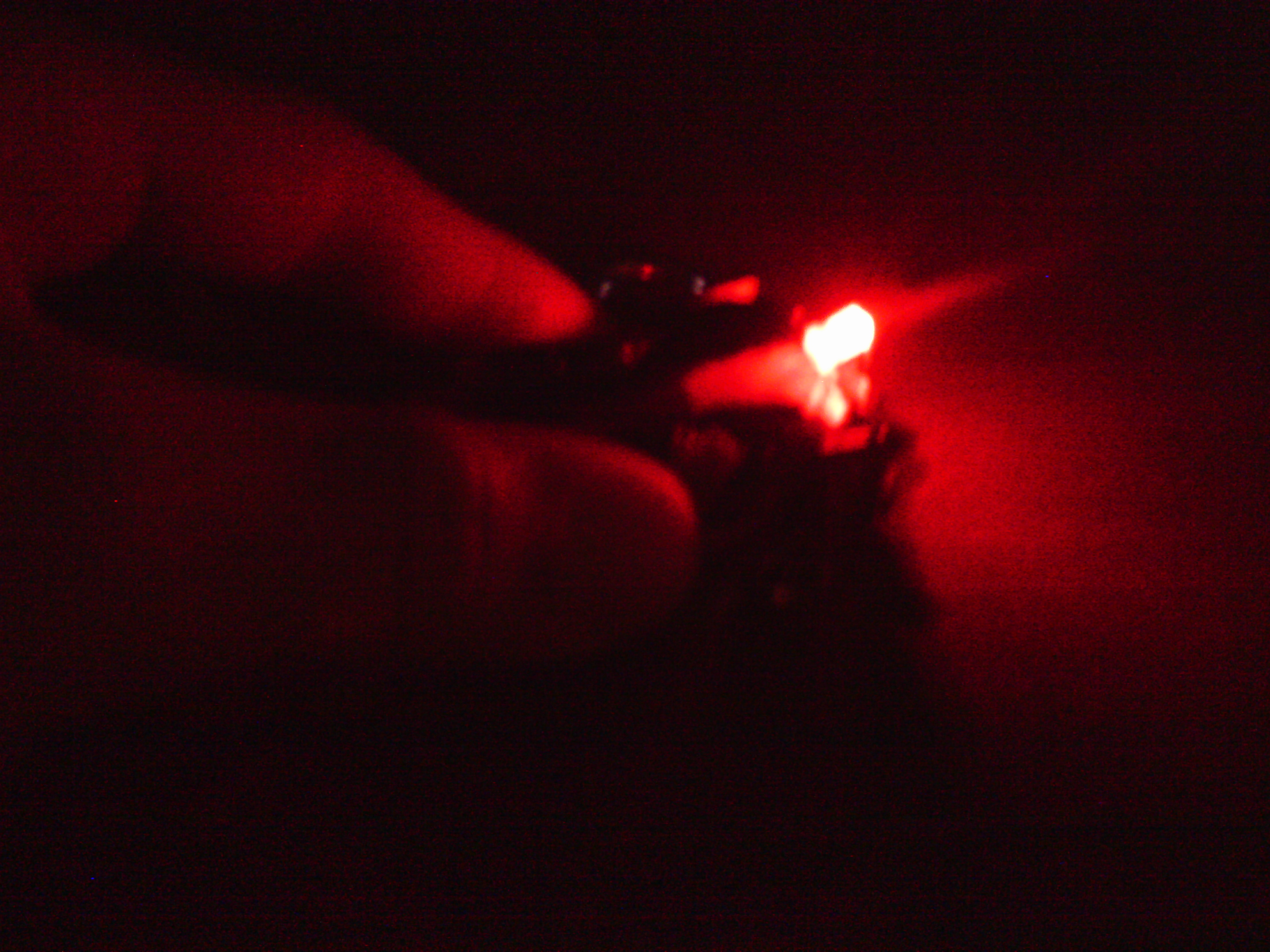 IMAG0353.JPG