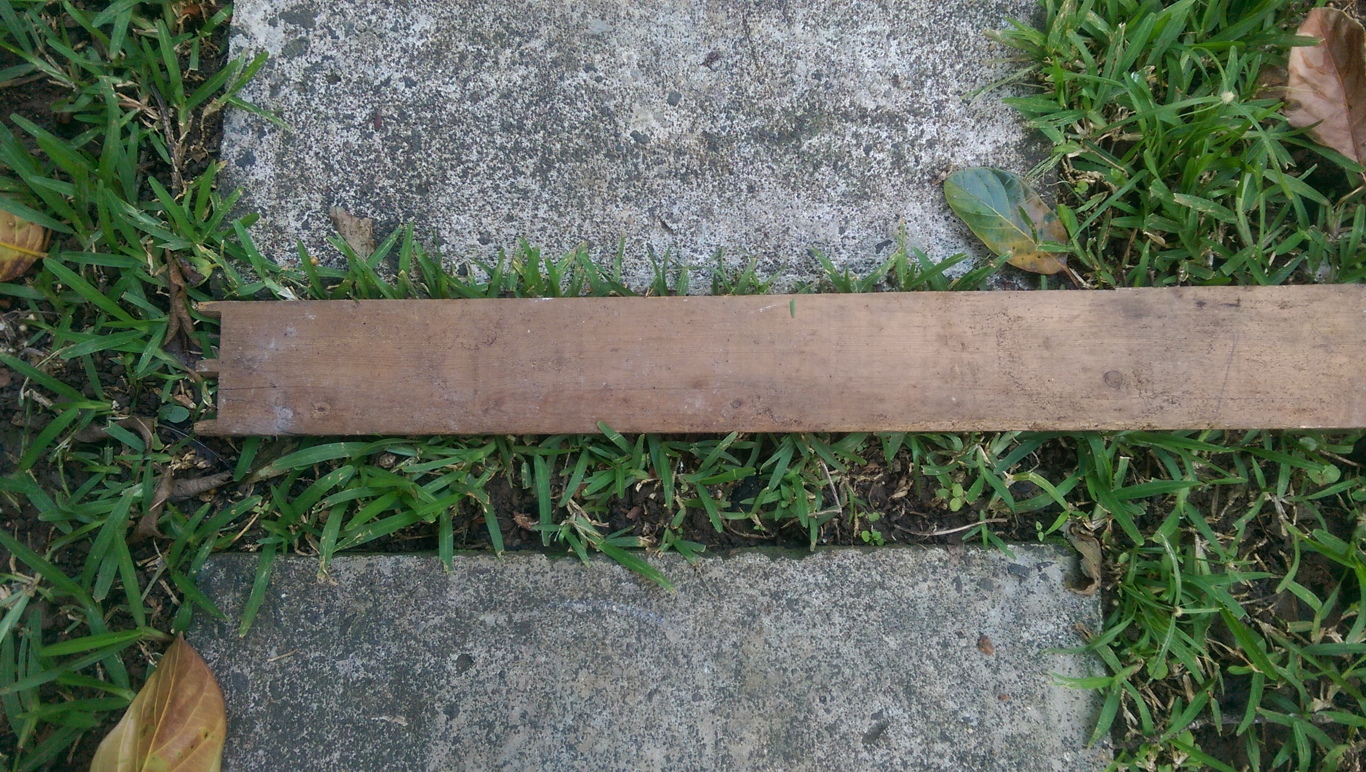 IMAG0469.jpg