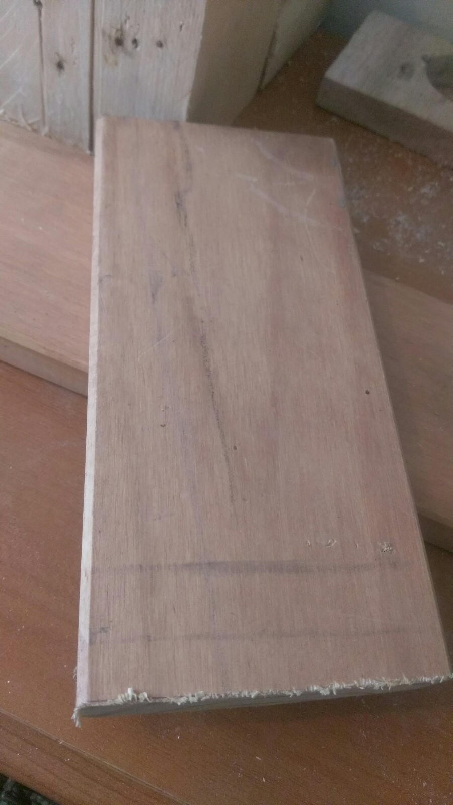 IMAG0479.jpg
