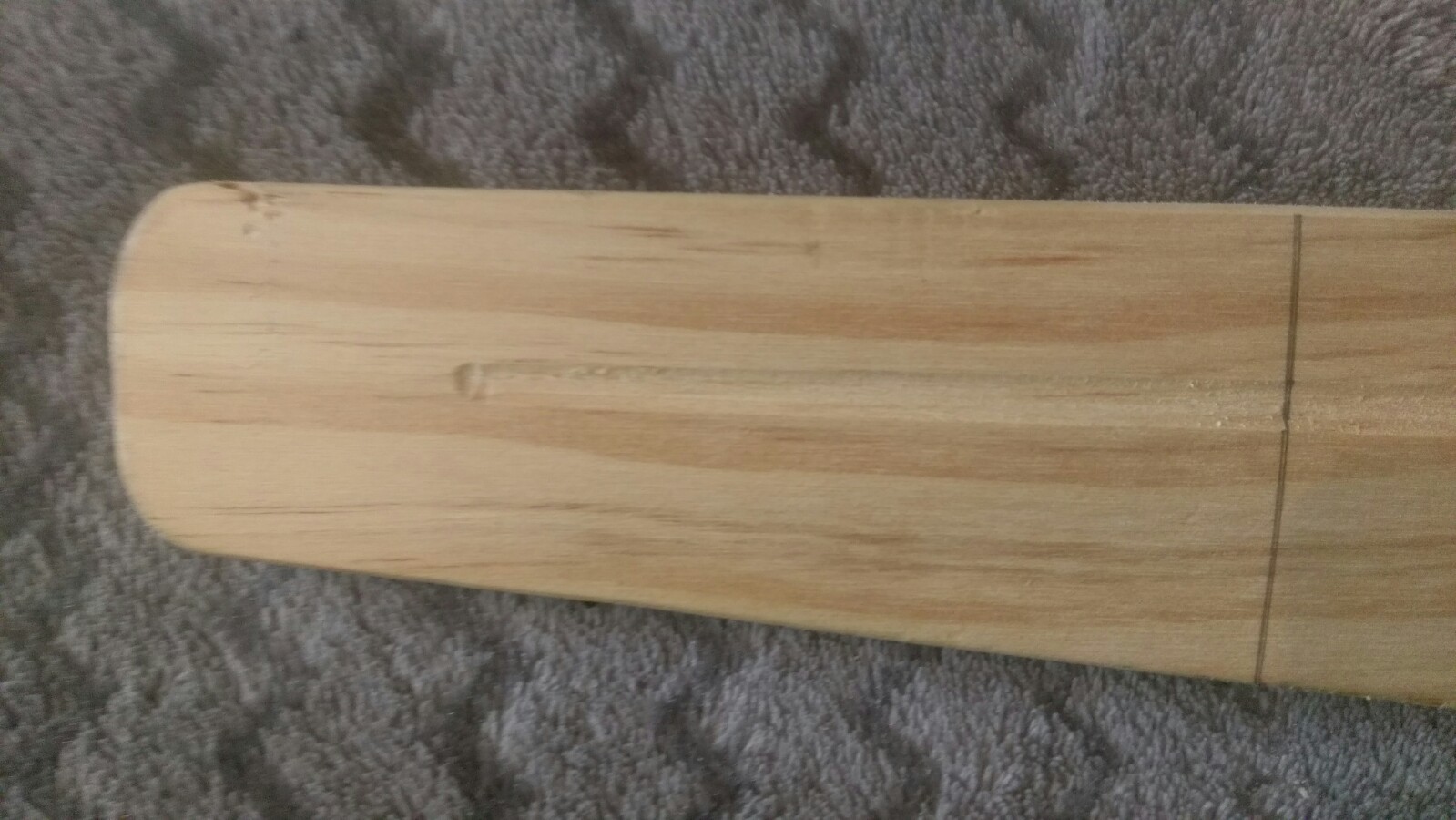 IMAG0481.jpg