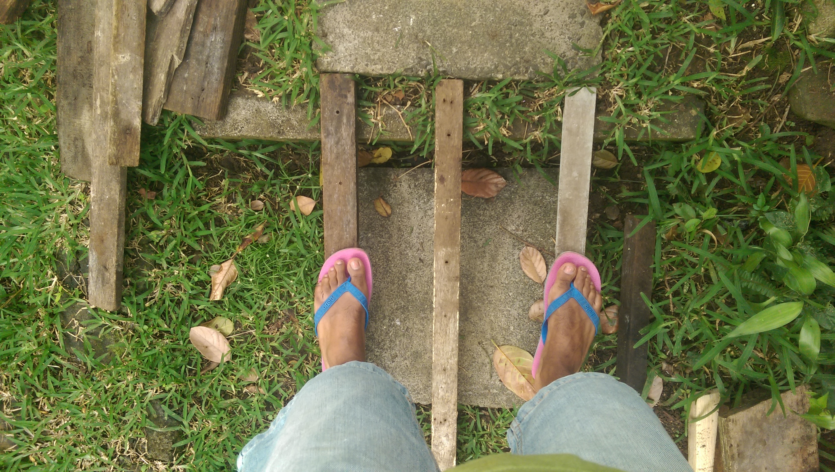 IMAG0486.jpg