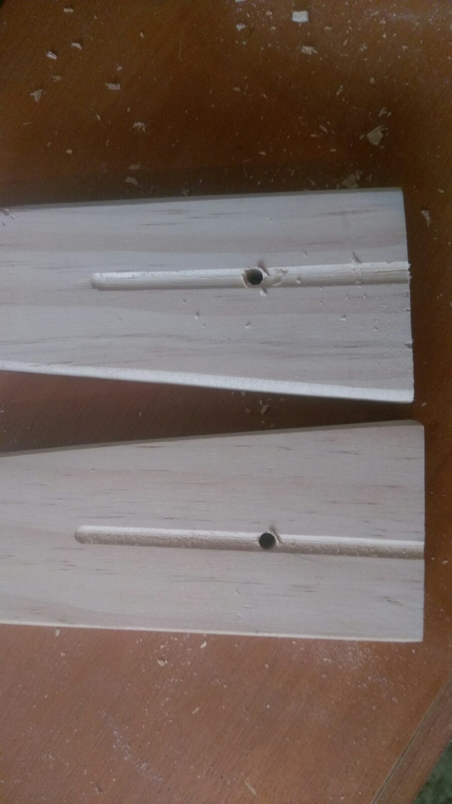 IMAG0486.jpg