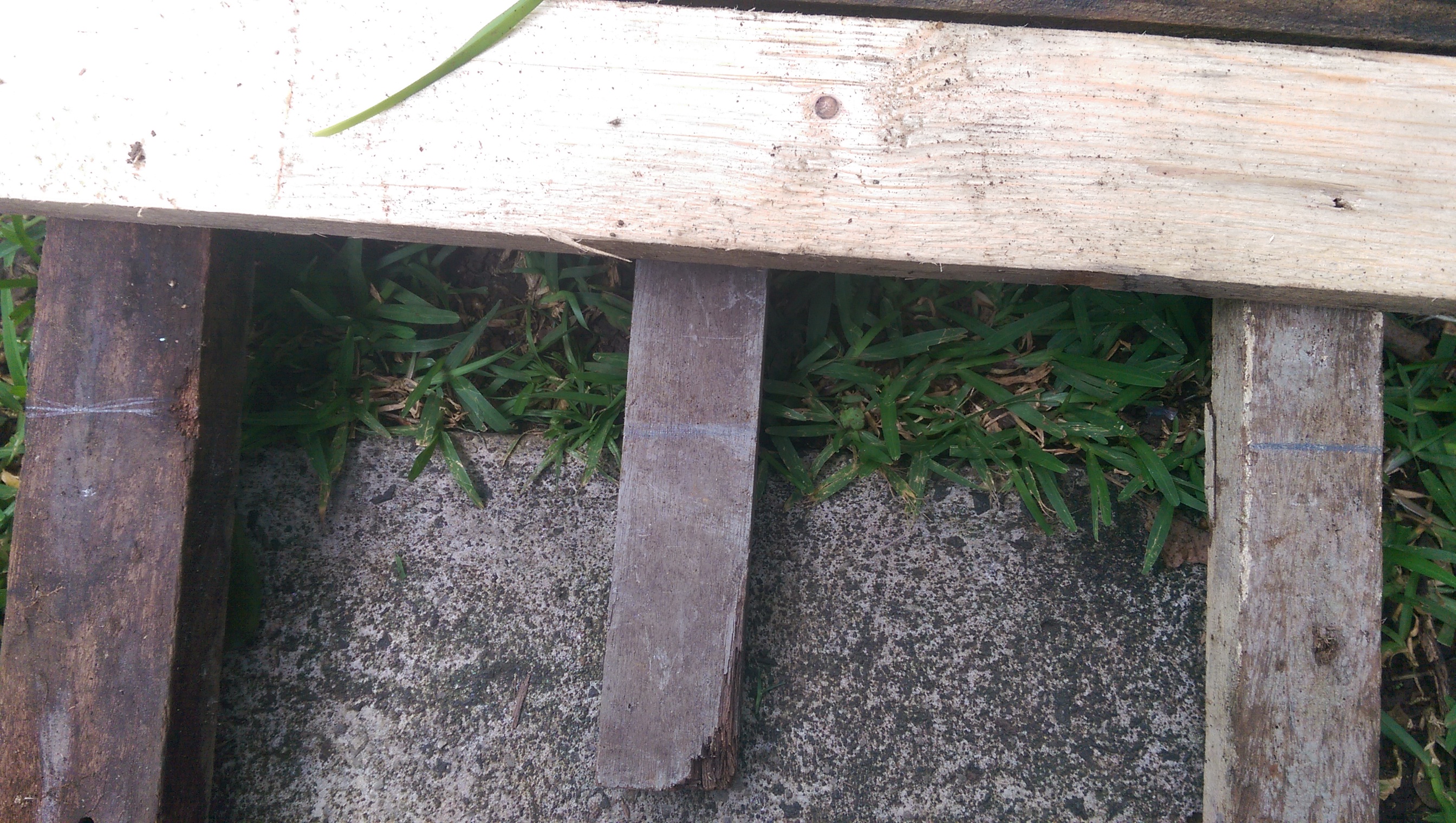IMAG0489.jpg