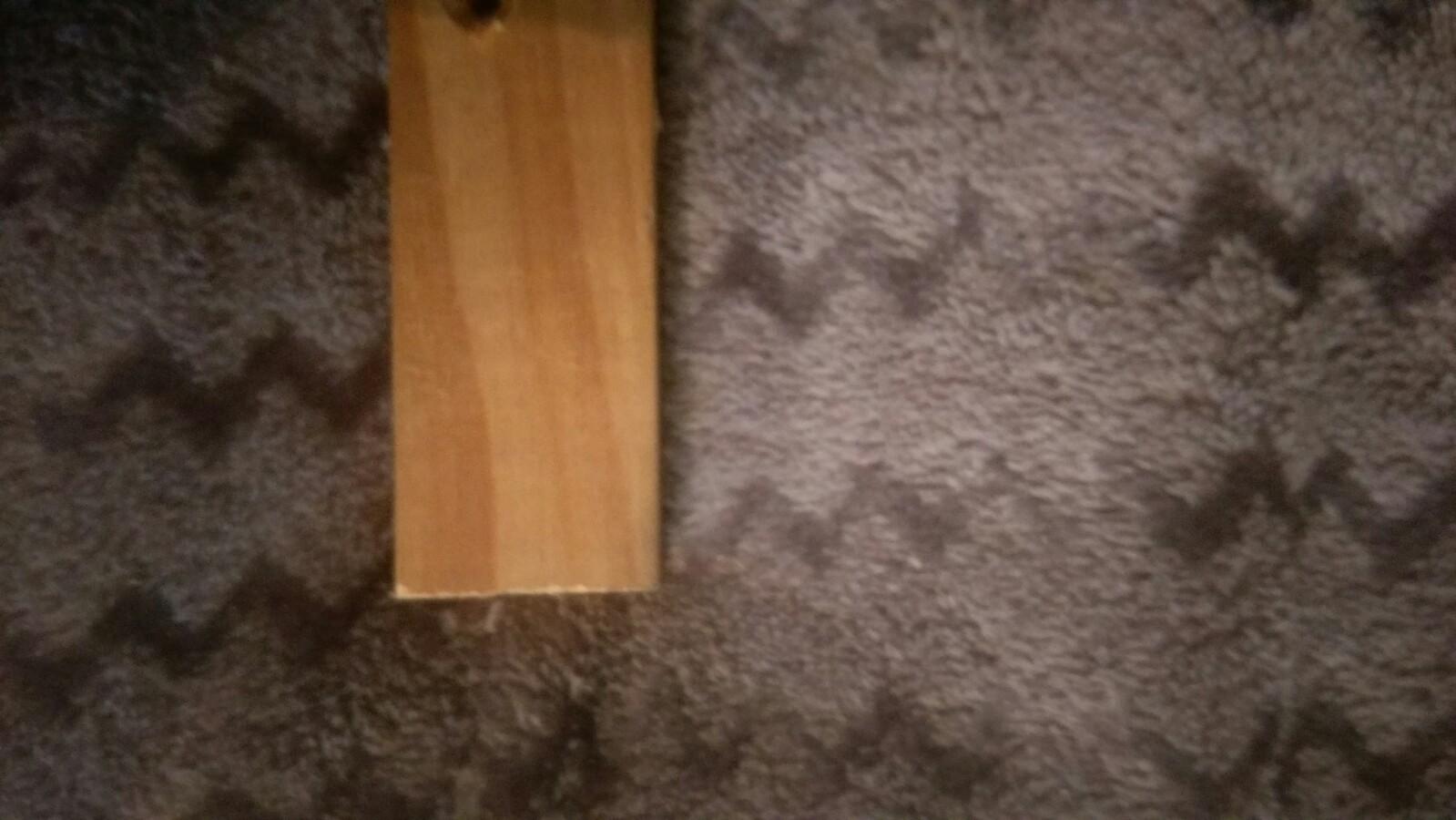 IMAG0500.jpg
