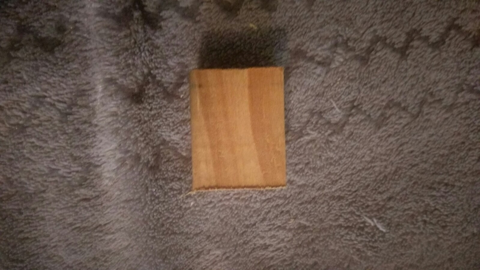 IMAG0501.jpg